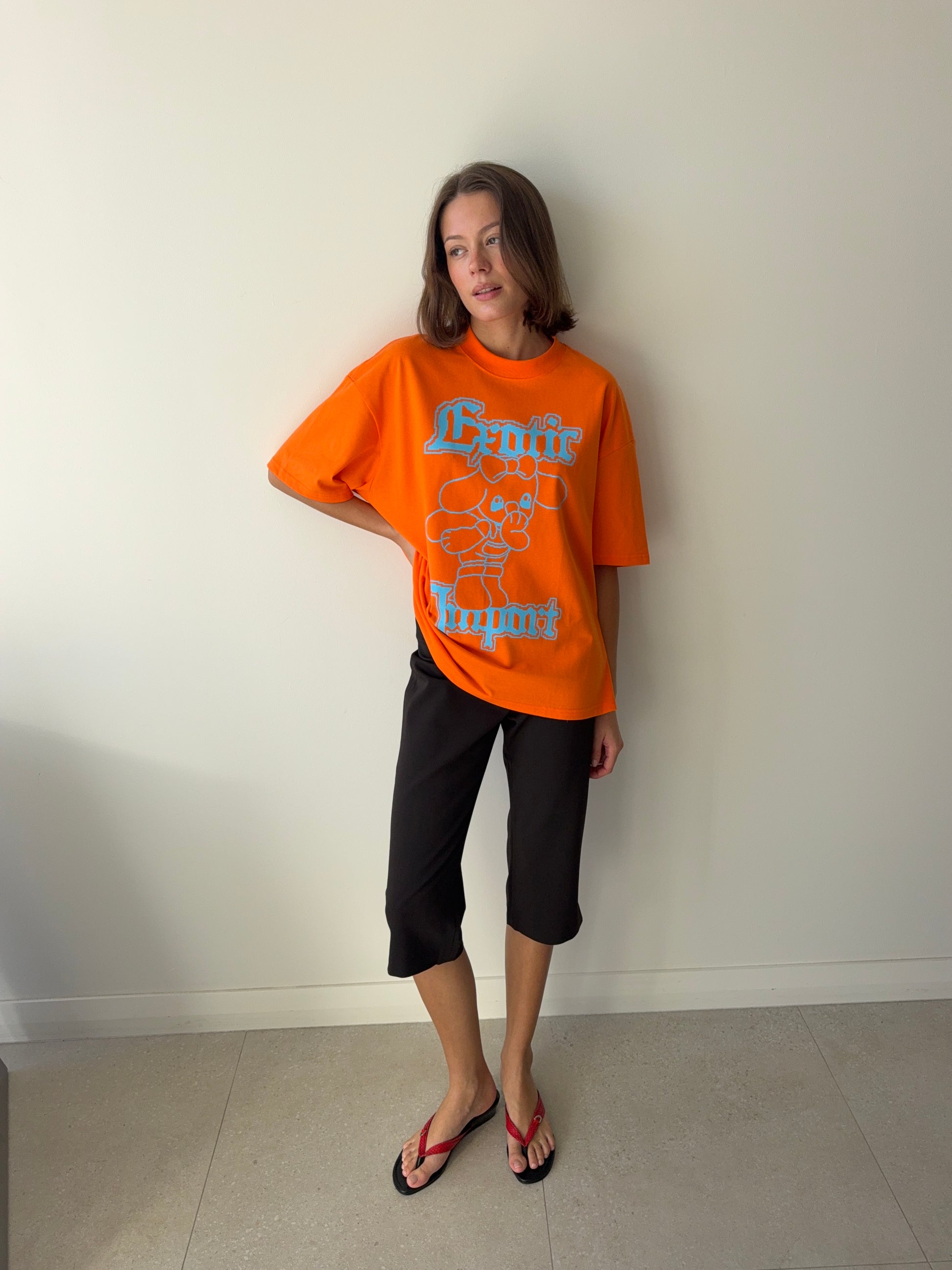 ANIME T SHIRT